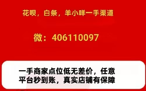 白条秒到商家一手(亲测9个实用办法详解) 