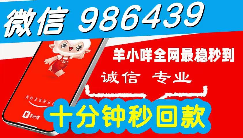 2026 羊小咩便荔卡包购物额度怎么提现出来秒到使用,简单三步教您自己操作